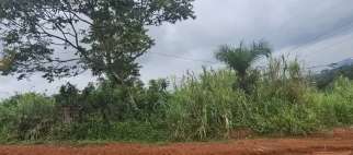 Land parcel view — placeholder photo